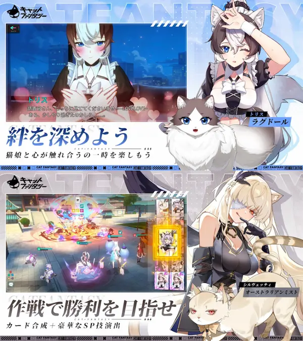 キャットファンタジー・ゲームアプリ・評価レビュー